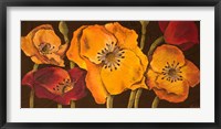 Dazzling Poppies II (black background) Fine Art Print