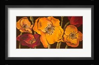 Dazzling Poppies II (black background) Fine Art Print