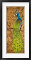 Peacocks I Fine Art Print