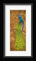 Peacocks I Fine Art Print