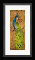 Peacocks II Fine Art Print