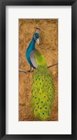 Peacocks II Fine Art Print
