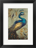 Peacock on Sage I Fine Art Print