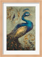 Peacock on Sage I Fine Art Print