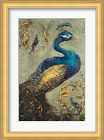 Peacock on Sage I Fine Art Print