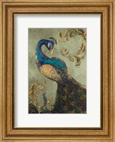 Peacock on Sage II Fine Art Print