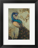 Peacock on Sage II Fine Art Print