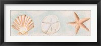 Sandy Shells I Fine Art Print
