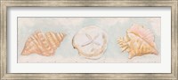 Sandy Shells II Fine Art Print