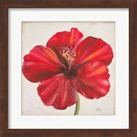 Red Hibiscus Fine Art Print