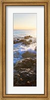 Bimini Coastline II Fine Art Print