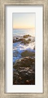 Bimini Coastline II Fine Art Print