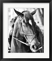 Derby I Fine Art Print