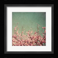Springtime I Fine Art Print