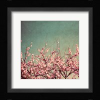 Springtime II Fine Art Print