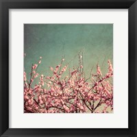 Springtime II Framed Print
