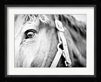 Horseback Riding Fine Art Print