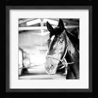 Derby Square I Fine Art Print