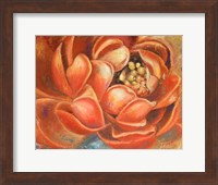 Red Lotus I Fine Art Print