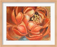 Red Lotus I Fine Art Print