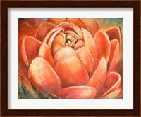 Red Lotus II Fine Art Print