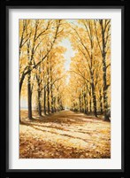 Falls Cathedral Fine Art Print