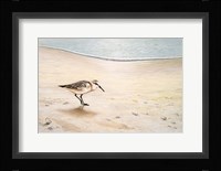 Morning Stroll Fine Art Print