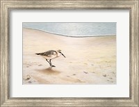 Morning Stroll Fine Art Print