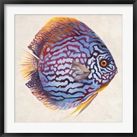 Little Fish I Fine Art Print