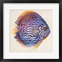 Little Fish I Fine Art Print