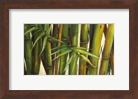 Bamboo on Beige II Fine Art Print