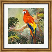 Parrots at Bay I Fine Art Print