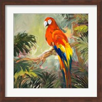 Parrots at Bay I Fine Art Print
