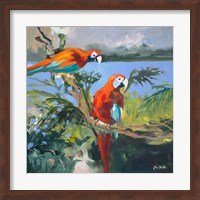 Parrots at Bay II Fine Art Print