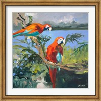 Parrots at Bay II Fine Art Print