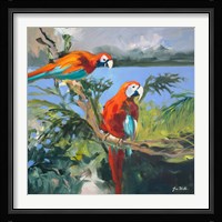 Parrots at Bay II Fine Art Print