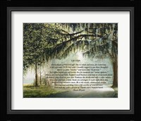 Life's Gifts Fine Art Print