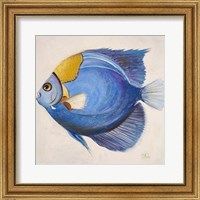 Little Fish III Fine Art Print