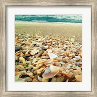 Shells Beach II Fine Art Print