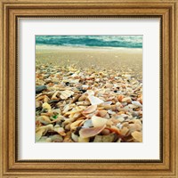 Shells Beach II Fine Art Print