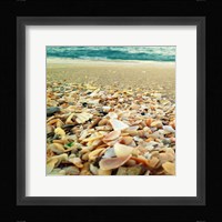 Shells Beach II Fine Art Print