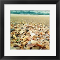 Shells Beach II Fine Art Print