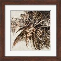 Coconut Palm I Fine Art Print