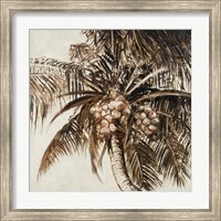 Coconut Palm I Fine Art Print