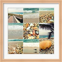 Shell Beach (9 Patch) Fine Art Print