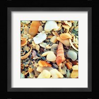 Sea Glass II Fine Art Print