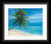 Palm Beach I Framed Print
