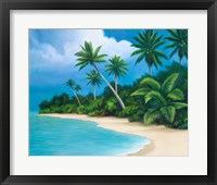 Palm Beach II Framed Print