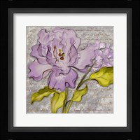 Purple Florals II Framed Print