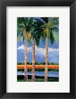 Palm Coast Fine Art Print